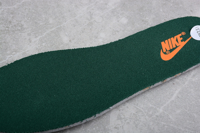 NK Dunk Low Michigan State - MOLINS COMPANY